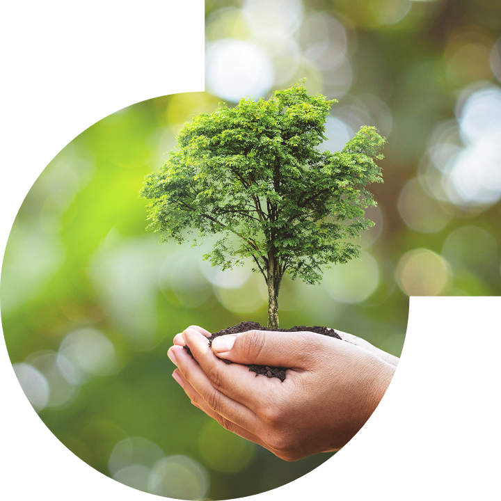 关怀人类、文化、环境与社会